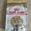 Royal Canin British Shorthire 10 kg (foto #1)