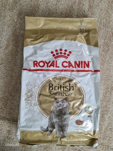 Royal Canin Британская короткошерстная 10 кг (фото #1)