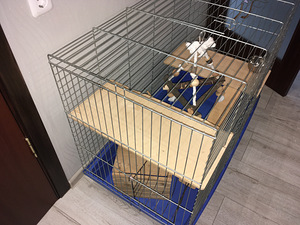 Клетка / näriliste puur (2 фото из 3)