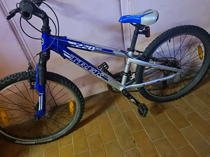 Lasteratas Classic ja Trek (4 foto / 5)