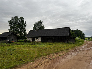 Kullerkupu tn, Tammiste, Tori vald, Pärnumaa (3 foto / 8)