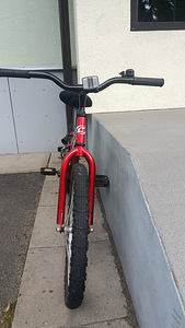 Laste jalgratas classic 20 (4 foto / 4)