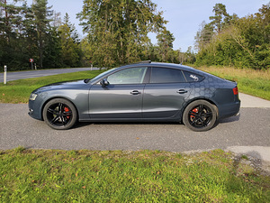 Audi A5 Sportback 3.0Tdi Quattro 176kw (4 foto / 15)