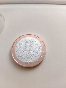 Narva ja Ivangorodi kindlustele pühendatud medal (2 foto / 3)