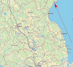 Elamumaa 2507 m2 Peipsi järve ääres detailplaneeringuga (3 foto / 4)