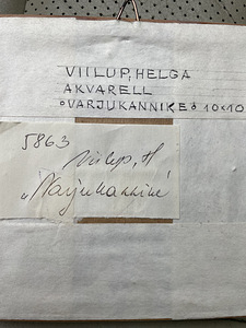 Eesti kunst Helga Viilup akvarell (3 foto / 3)