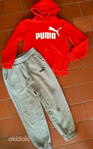 Puma dresside komplekt püksid ja pusa 152 (foto #3)