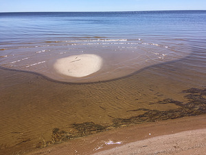 Alutaguse vald, Ida-Virumaa (7 foto / 7)