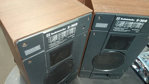 Radiotehnika kõlarid (paar) (1 foto / 10)
