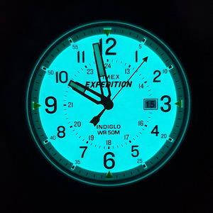 Timex Expedition 45mm käekell - UUS (8 foto / 8)