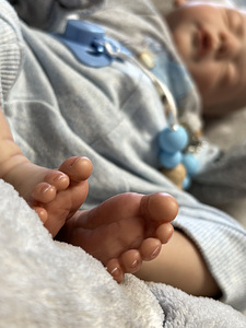 Reborn nukk, sertifikaafiga, artistilt. (5 foto / 7)
