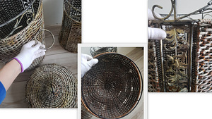 Vitstest korvid metallraamil (2 foto / 6)