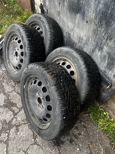 Veljed talverehvidega r16 (1 foto / 4)