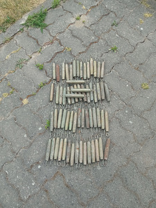 Batuudi vedrud. (1 foto / 2)