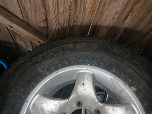 Ford Ranger veljed koos talverehvidega (3 foto / 3)