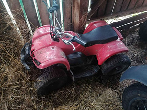 Laste elektri atv 800w (1 foto / 1)