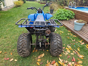 ATV 250CC (3 фото из 3)