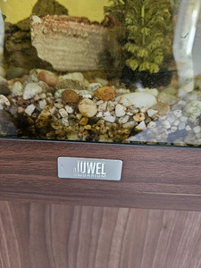 Müüa Juwel akvaarium koos originaalkapiga (4 foto / 4)