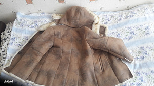 Lambanaha karv (2 foto / 3)