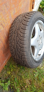 Rattad R17 (2 foto / 2)