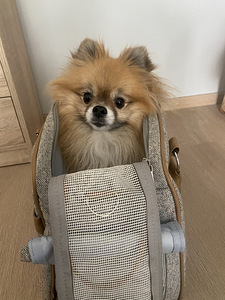 Trixie Koera kandekott (1 foto / 7)