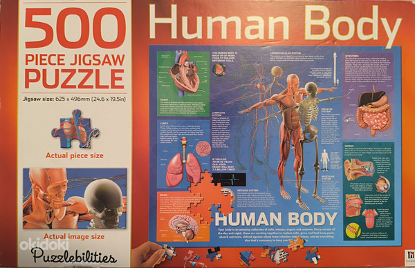 Pusle "Human Body" 500 tk