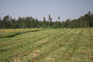 Земля на продажу (1 фото из 2)