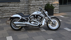 Harley-Davidson V-Rod 2003 юбилейный (2 фото из 3)
