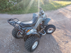 Dinli 801 300cc ATV Quad (3 foto / 9)