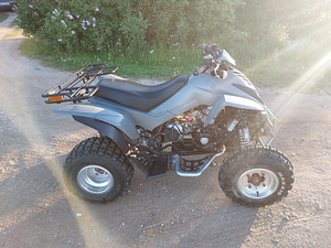 Dinli 801 300cc ATV Quad (5 foto / 9)