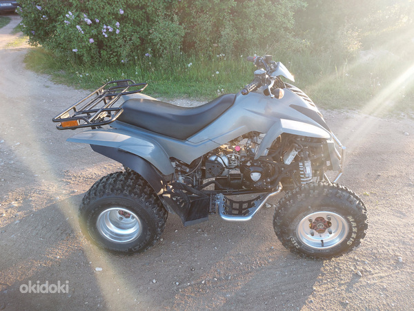 Dinli 801 300cc ATV Quad (foto #5)