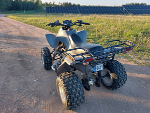 Dinli 801 300cc ATV Quad (7 foto / 9)