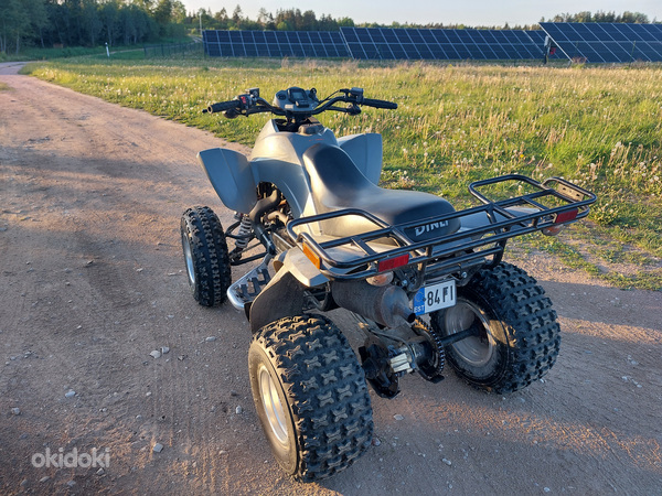 Dinli 801 300cc ATV Quad (foto #7)