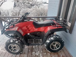 ATV Buyang 300cc 2010a (1 foto / 8)