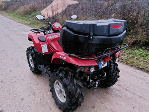 ATV SYM Quadraider 600cc, 2009 г. (8 фото из 10)