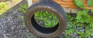 Müüa naastrehvid 215x55x17 Goodyear (8 foto / 10)
