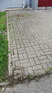 Очистка от мха, травы зазоры между тротуарной плиткой