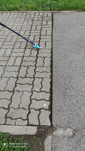 Sambla ja muru puhastamine sillutusplaatide vahedest (3 foto / 10)