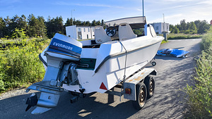 Kaater ladoga mootor 60hp (8 foto / 10)