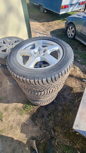 VW touareg ja haagis (4 foto / 11)
