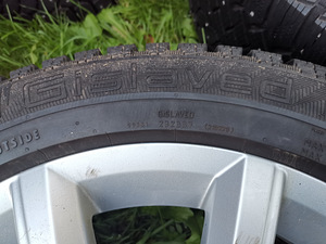 17 tollised velgedel naastrehvid (2 foto / 7)