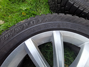 17 tollised velgedel naastrehvid (3 foto / 7)