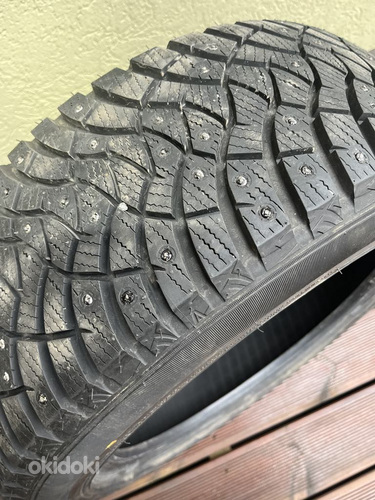 Falken naelrehvid