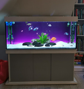 Akvaarium 250L kogu varustusega. (2 foto / 7)