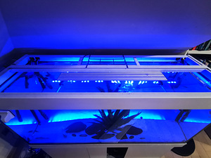 Akvaarium 250L kogu varustusega. (5 foto / 7)