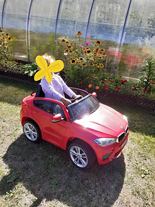 BMW (1 foto / 1)
