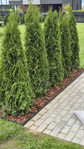 Smaragd 140-160 (2 foto / 3)