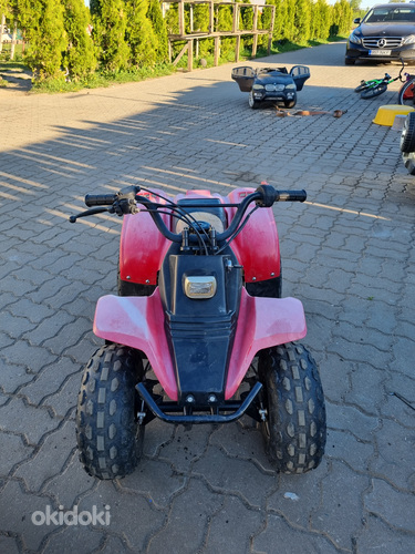 Laste ATV KAZUMA, 50cc, 4takti (foto #2)