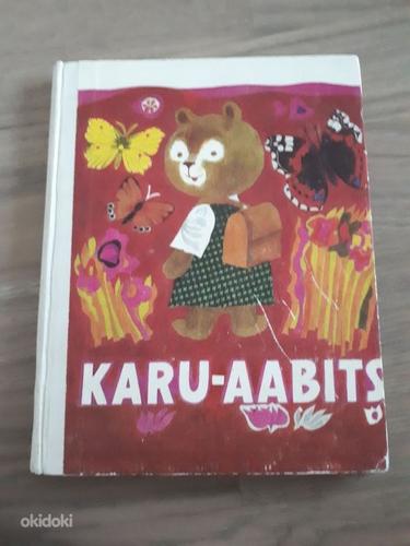 Karu-aabits (foto #1)