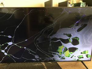 Samsung UE50TU7172U (3 foto / 8)